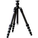 CP-26 Travel CL